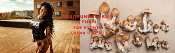 МДПВ Алзамай