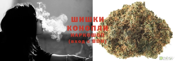 дурь Инсар