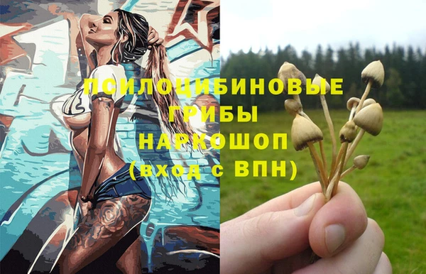 МДПВ Алзамай