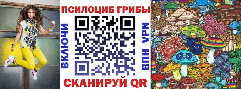 Галлюциногенные грибы мицелий  Зверево 