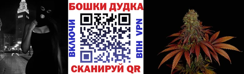 kraken онион  Зверево  Конопля SATIVA & INDICA 